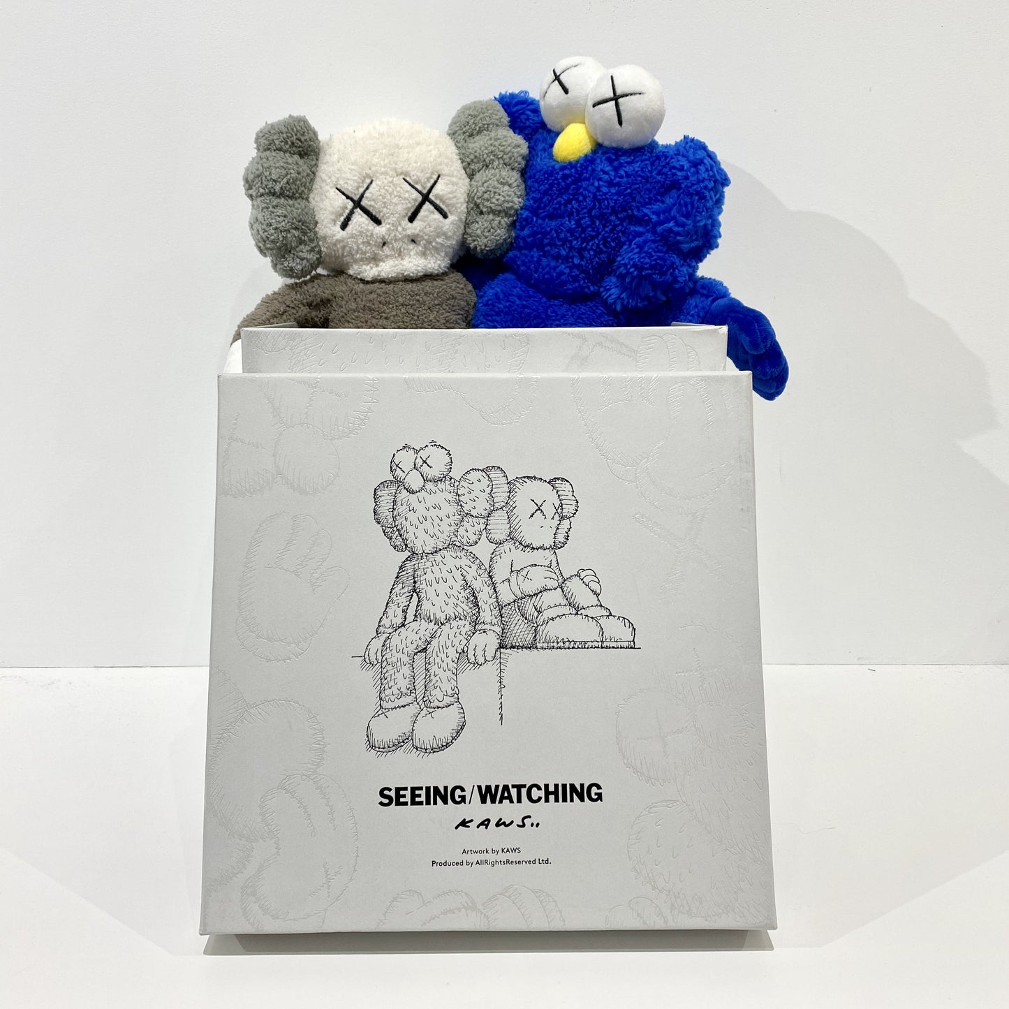 KAWS Seeing/Watching Limited Edition 16” Plush