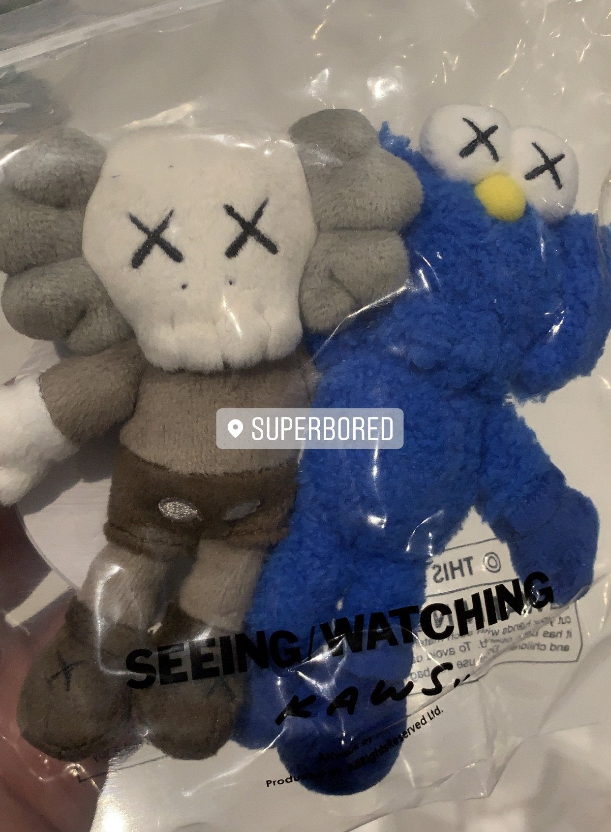 KAWS Seeing / Watching Limited Edition 5.5” Plush keychain